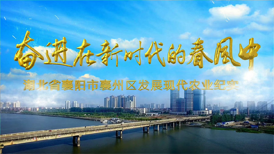 &#20122;&#26032;&#32593;&#31449;&#95;&#20122;&#26032;&#40;&#20013;&#22269;&#41;